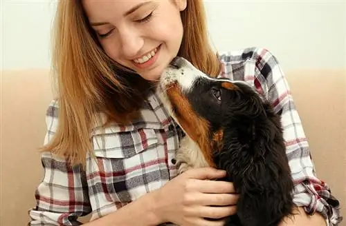 Dia nacional de la mare de gossos 2023: què és & Quan celebrar-ho