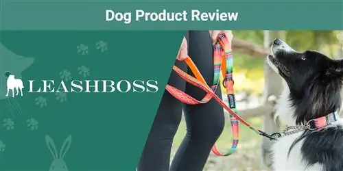 Leashboss Double Handle Reflexive Dog Leash Review 2023: Vår veterinärs expertutlåtande