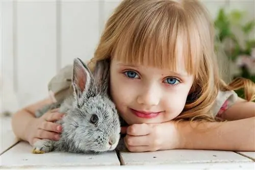 Hipoalergiczne rasy królików: czy istnieją?