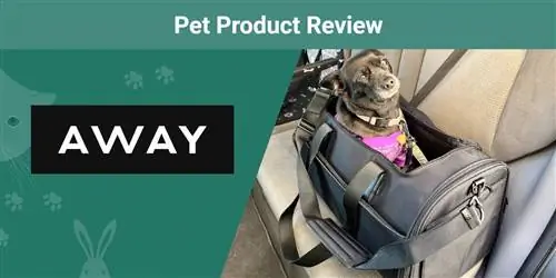 Transporter dla zwierząt firmy Away zapewnia łatwość i styl podczas podróżowania ze zwierzęciem