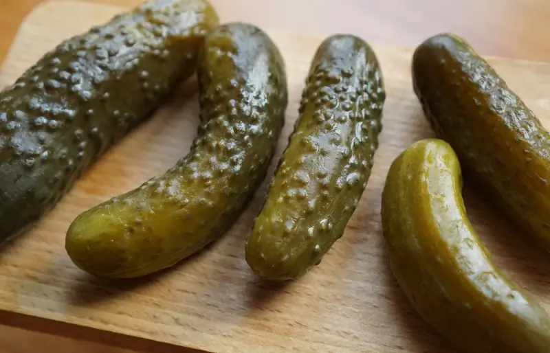 Kan kyllinger spise pickles? Veterinær vurdert ernæringsfakta & FAQ