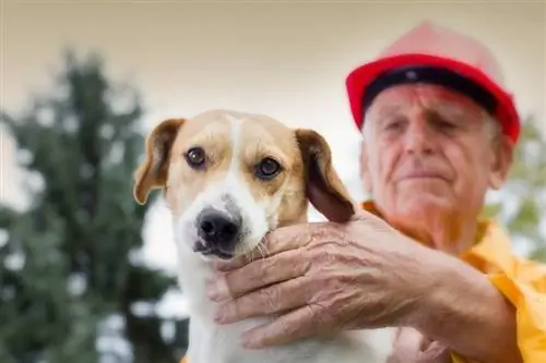 Preparação para desastres com animais de estimação: como sobreviver a uma emergência & Mantenha seus animais de estimação seguros