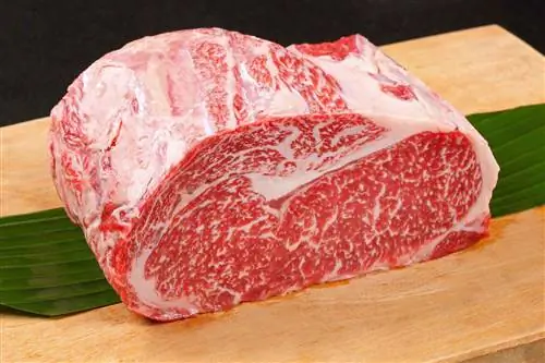 8 Wagyu phổ biến & Những lầm tưởng và quan niệm sai lầm về thịt bò Kobe