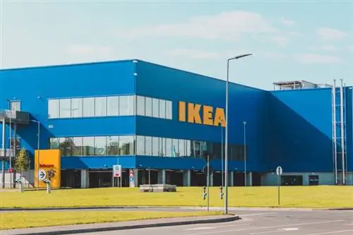 Ar IKEA įleidžiami šunys? (2023 m. atnaujinimas)