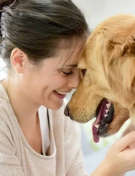 13 καλύτερες ράτσες σκύλων για πρώτους ιδιοκτήτες (με φωτογραφίες)