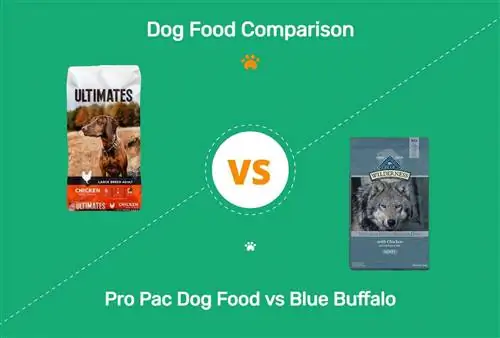 Pro Pac suņu barība pret Blue Buffalo: plusi, mīnusi un ko izvēlēties