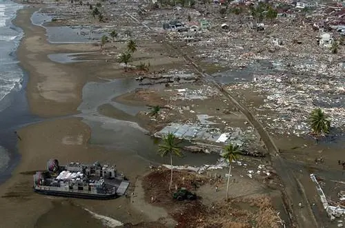 Bolehkah Anjing Saya Mengesan Tsunami Sebelum Ia Berlaku? Apa Kata Sains