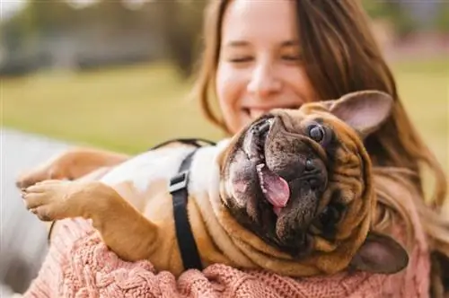 10 najlepszych sprayów dezodoryzujących dla psów w 2023 r. - recenzje & najczęściej wybierane