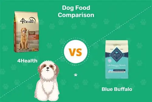 4Здраве срещу храна за кучета Blue Buffalo: Сравнение през 2023 г., плюсове & минуси