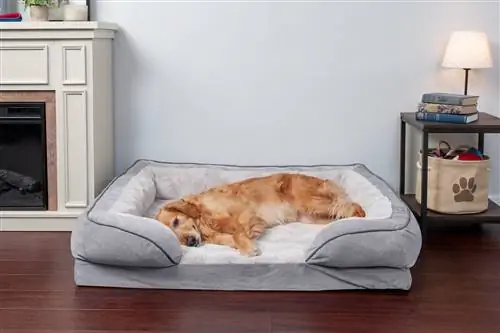 10 najboljih ortopedskih kreveta za pse 2023. za velike rase – recenzije & Najbolji izbor