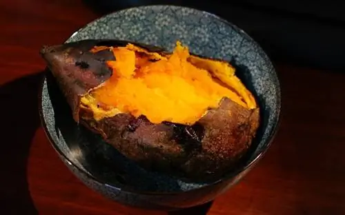 Paano Magluto ng Sweet Potatoes para sa Mga Aso: Mga Recipe & Ano ang Dapat Malaman