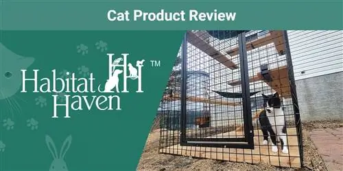 Habitat Haven Den My Own Den Petit Catio Maoni 2023: Maoni ya Mtaalamu Wetu