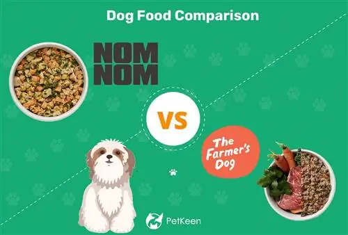 Nom Nom مقابل مقارنة طعام الكلب الطازج 2023 من Farmer’s: أيهما أفضل؟