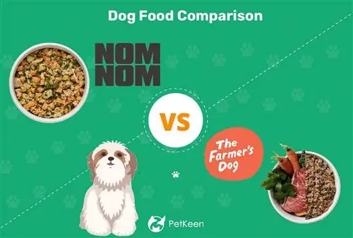 Nom Nom vs. Farmer’s Dog Värske koeratoit 2023. aasta võrdlus: kumb on parem?