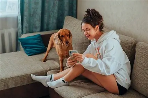 Media Sosial untuk Pemilik Anjing di 2023: 6 Aplikasi untuk Sahabat Berbulu Kita