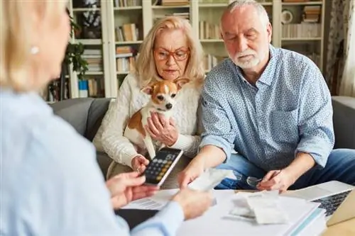 10 meilleurs fournisseurs d'assurance pour animaux de compagnie à New York en 2023 - Avis & Comparaisons