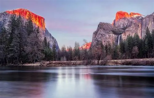 Pinapayagan ba ang Mga Aso sa Yosemite sa 2023? Mga Panuntunan & Mga Tip sa Kaligtasan