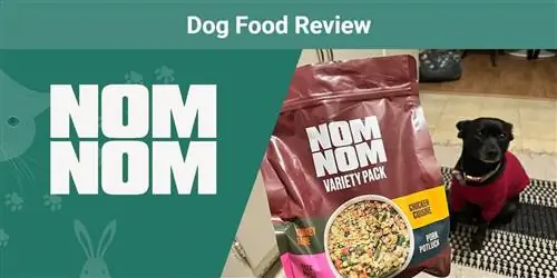 Nom Nom Variety Pack Dog Food Review 2023: Er det en god verdi?