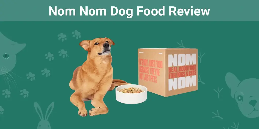 Nom Nom Dog Food Review 2023: pros, contras, & Veredicto final