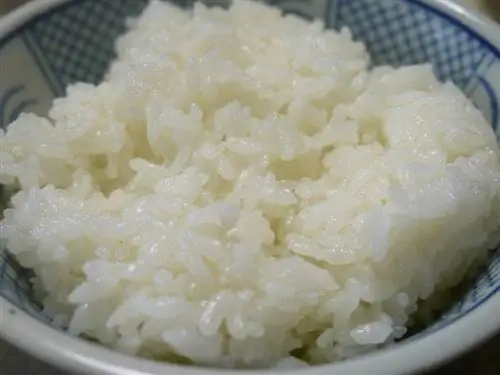Vai cāļi var ēst vārītus rīsus? Kas jums jāzina