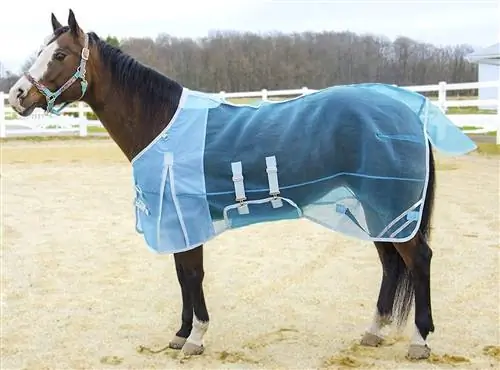 6 Mejores Fly Sheets para Caballos 2023 – Reseñas & Mejores Selecciones