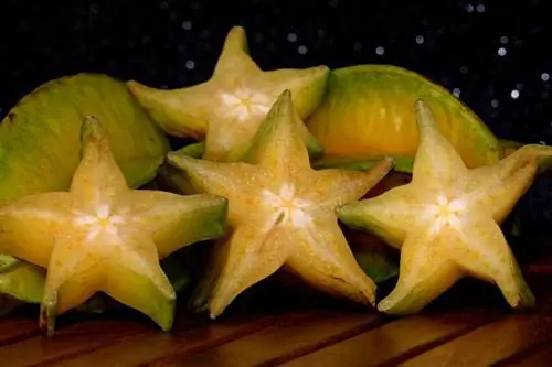 Mohou psi jíst hvězdné ovoce? Udržujte svého psa v bezpečí