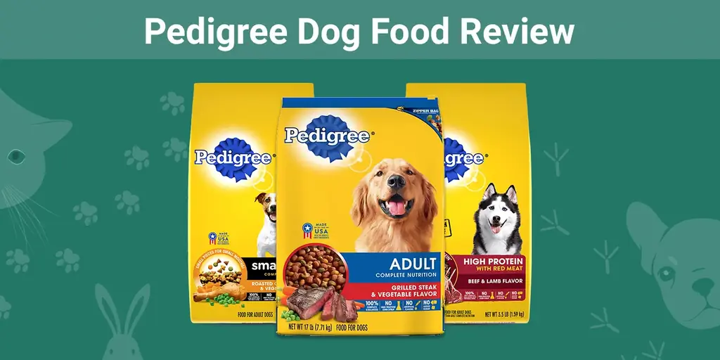 Kajian Makanan Anjing Pedigree 2023: Pengimbasan dan Kebaikan & Keburukan