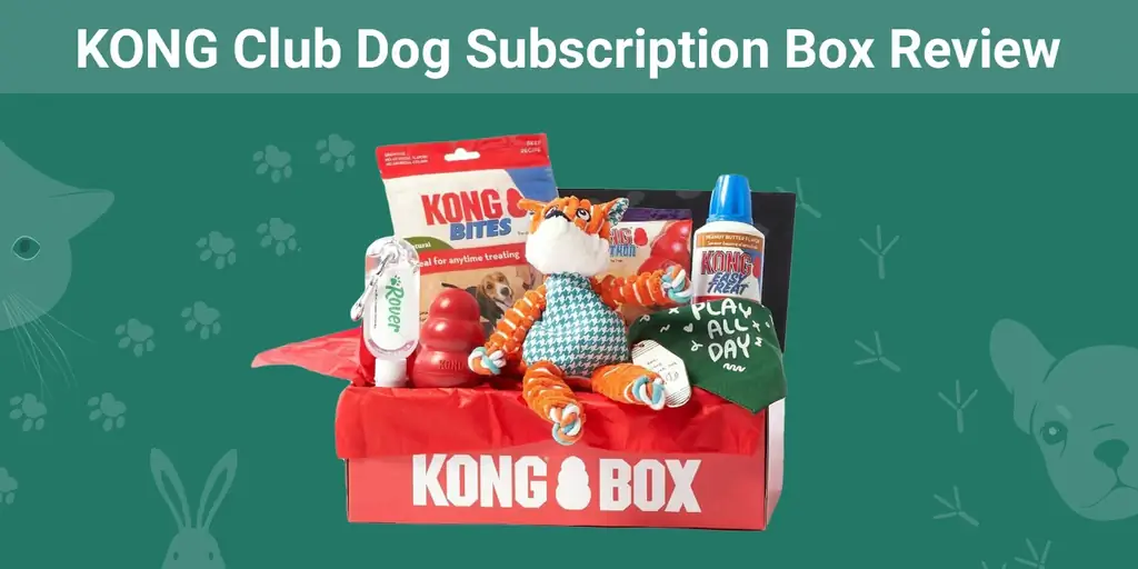 KONG Club Dog Abonnementsboks Anmeldelse 2023: Er det en god værdi?