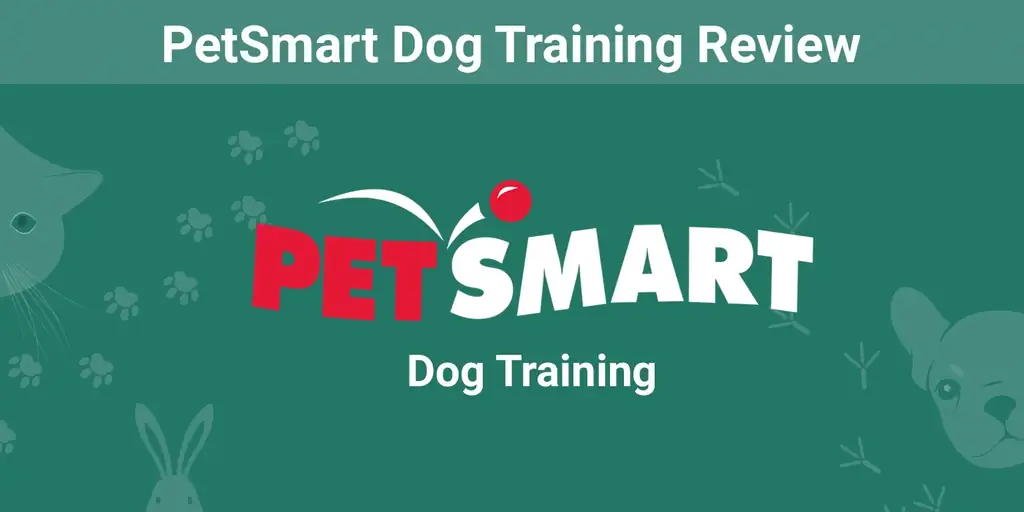 PetSmart Dog Training Review 2023: costos, efectividad y preguntas frecuentes