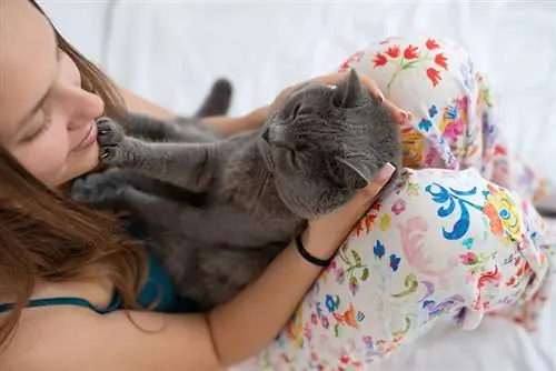 Nationella kram din katt-dag 2023: När det är & Hur man firar