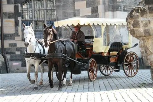 ¿Qué tan lejos & ¿Qué tan rápido puede viajar un carruaje tirado por caballos?