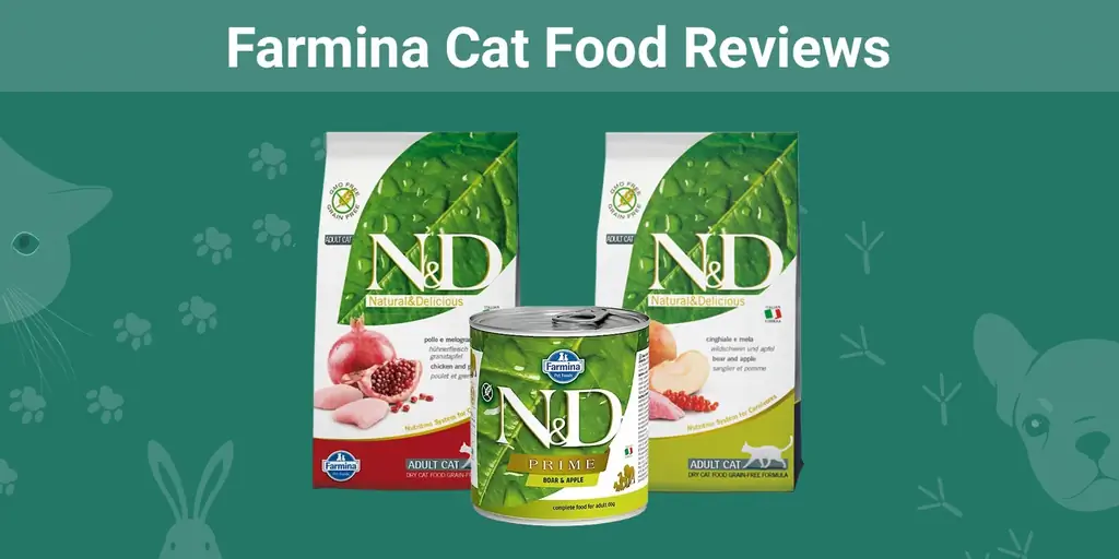 รีวิวอาหารแมว Farmina 2023: การเรียกคืน ข้อดี & ข้อเสีย