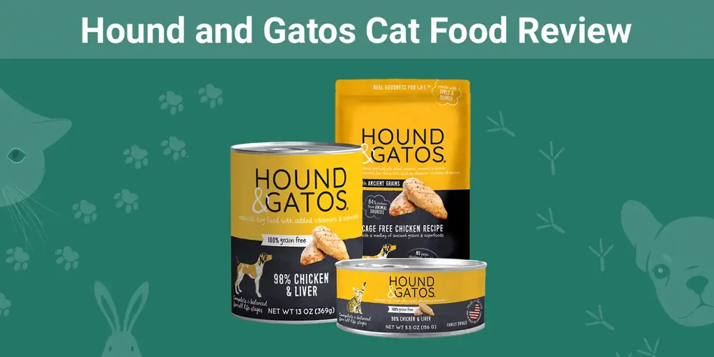 Pregled hrane za mačke Hound and Gatos 2023: povlačenja, prednosti & Protiv