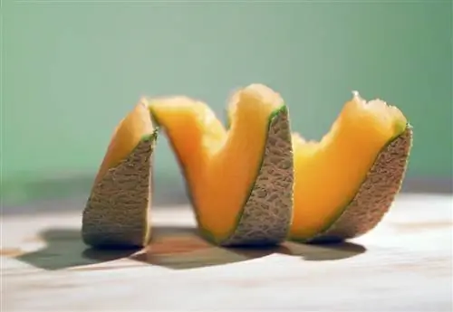 Coelhos podem comer melão? Fatos de segurança & Perguntas frequentes