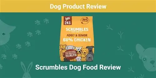 Ulasan Makanan Anjing Scrumbles 2023: Apakah Ini Nilai yang Baik?