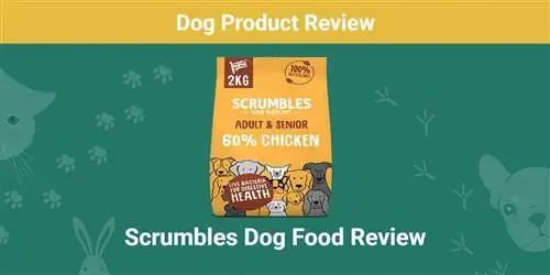 Đánh giá thức ăn cho chó Scrumbles 2023: Nó có đáng tiền không?