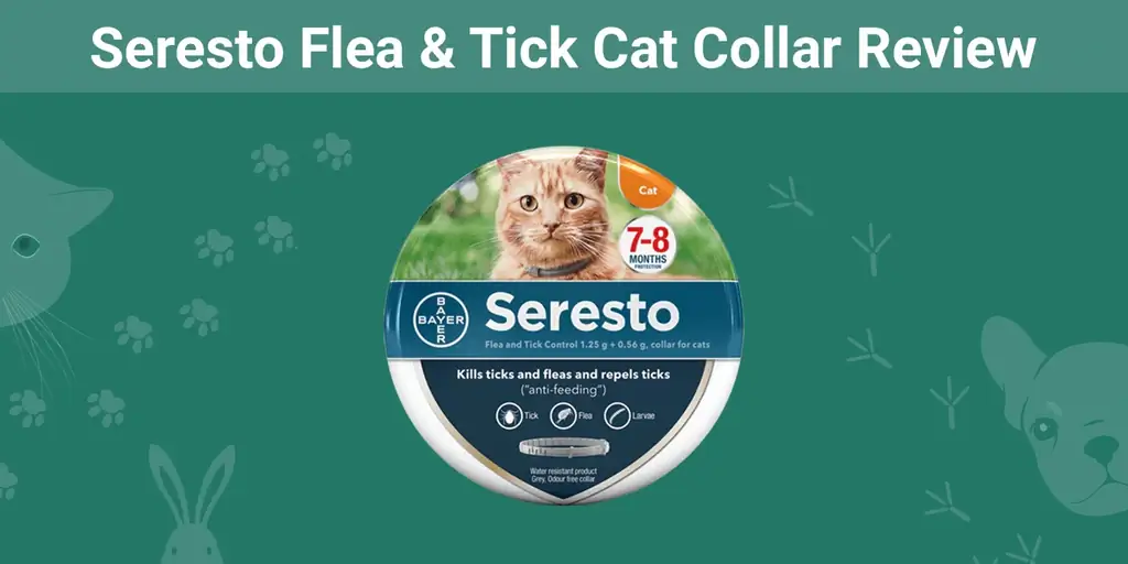 Seresto Flea & Tick Cat Collar Review 2023: Fordeler, ulemper, & dom