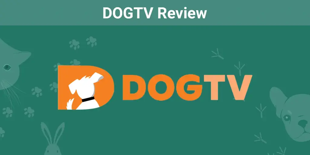 סקירת DOGTV 2023: חוות דעת המומחה שלנו - יתרונות, חסרונות & פסק דין