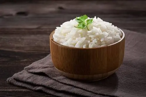 Vai suņi var ēst jasmīna rīsus? Vet pārskatīti fakti & padomi