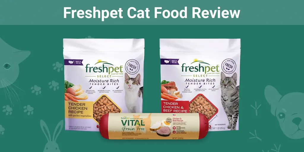Freshpet Cat Food-ის მიმოხილვა 2023: იხსენებს, დადებითი & უარყოფითი მხარეები