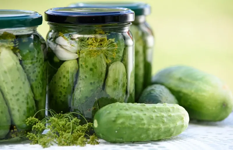 Ali lahko hrčki jedo kumarice? Veterinar pregledal tveganja & Pogosta vprašanja