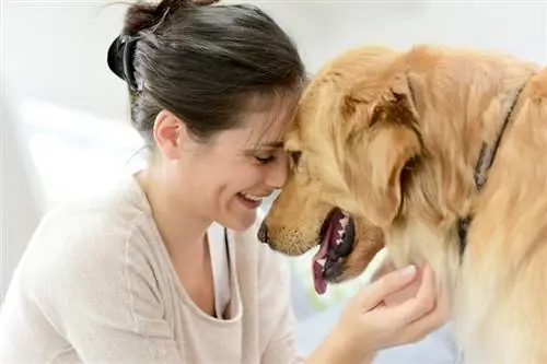 Топ-20 самых дружелюбных пород собак (с картинками)
