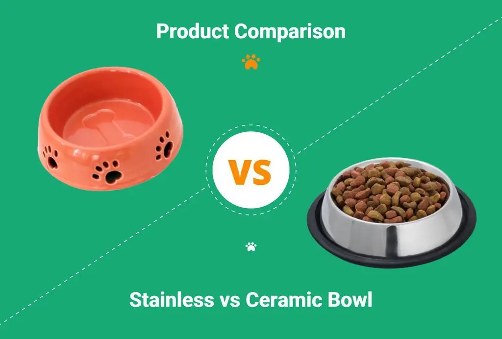 Rustfritt stål vs keramiske hundeskåler: Hva passer for dine behov?