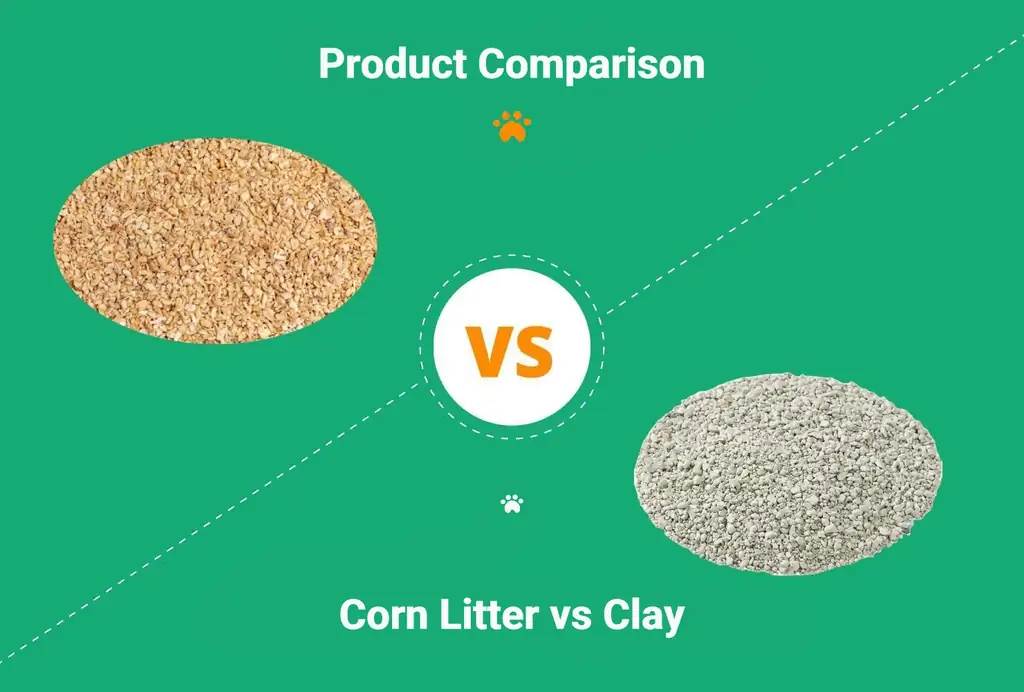 Maissinhiekka vs savi: kumpi on parempi? Vuoden 2023 vertailumme