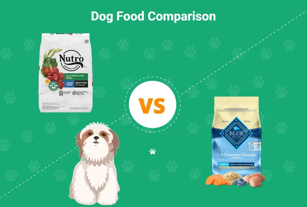 Храна за кучета Nutro срещу Blue Buffalo: плюсове & минуси – нашето сравнение за 2023 г