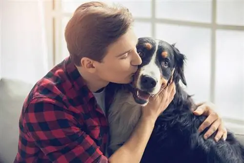 מתי אנשים התחילו להחזיק כלבים כחיות מחמד? היסטוריה של ביות