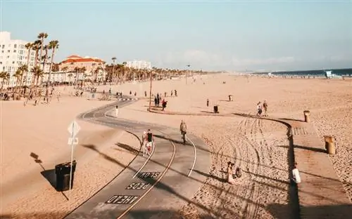 Jsou na pláži Santa Monica povoleni psi? Průvodce 2023 & Tipy