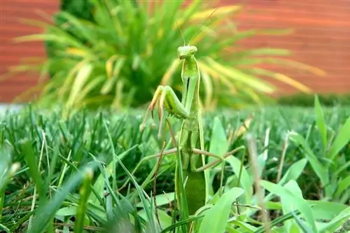 ছবি