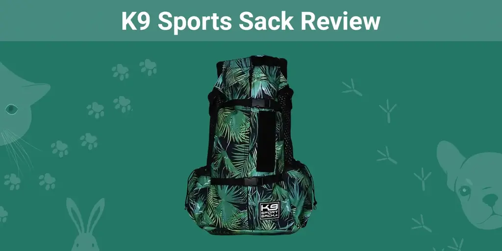 K9 Sports Sack 2023 Revisión - Pros, Contras & Veredicto