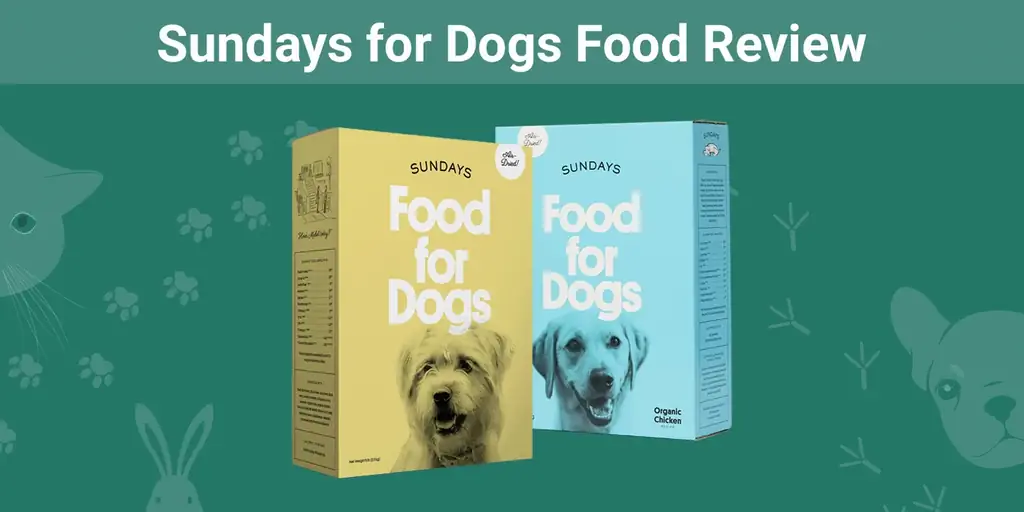 कुत्तों के लिए रविवार भोजन समीक्षा 2023: पक्ष, विपक्ष & विशेषज्ञ की राय